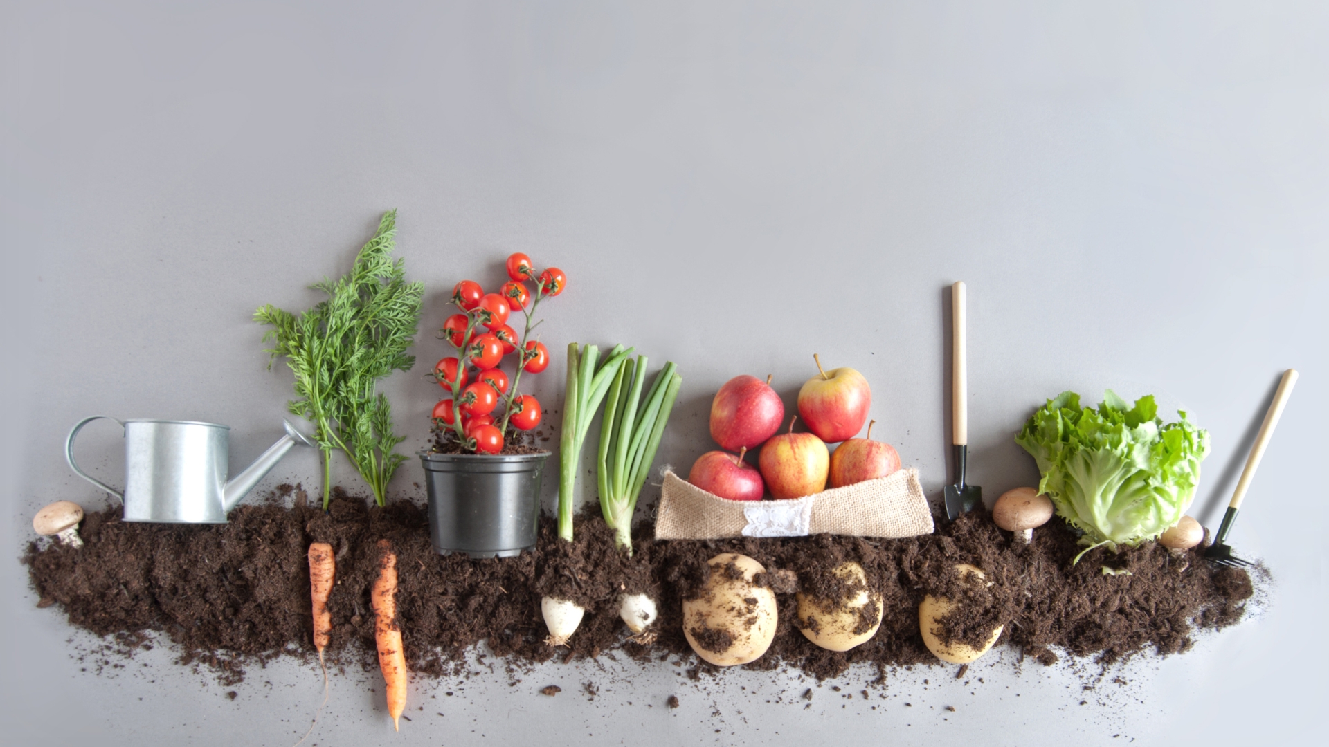 variety of root crafts & a bunch of apples