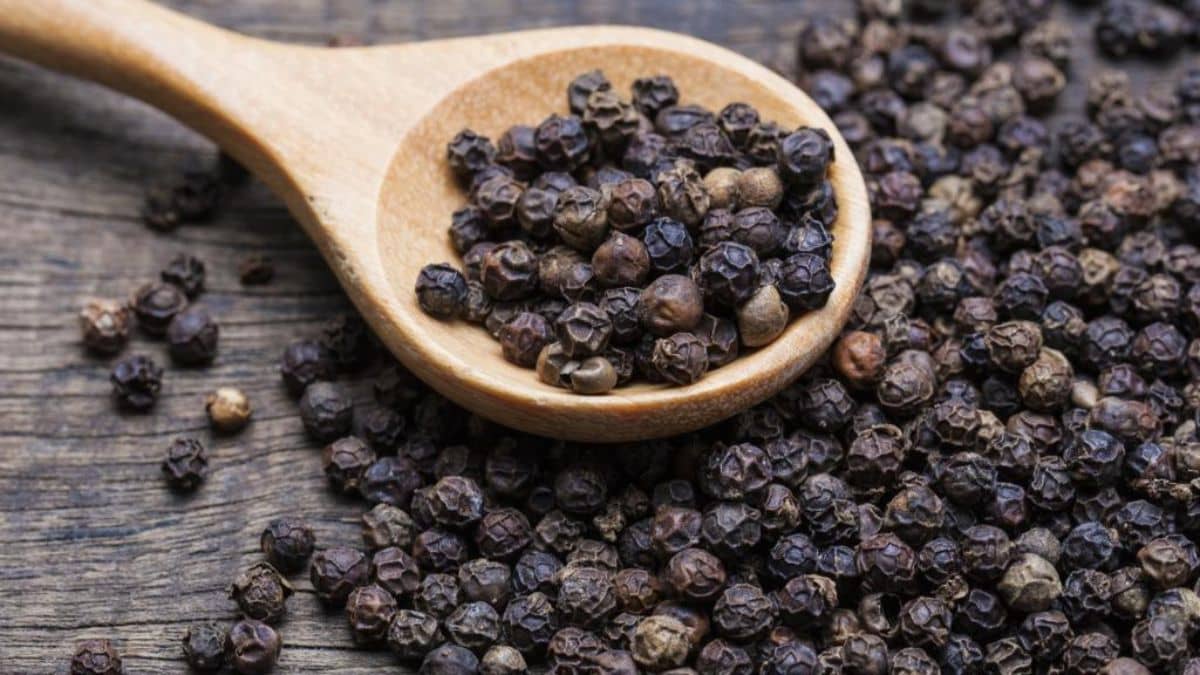 Black peppercorns on a wooden spoon and scattered on a rustic table.