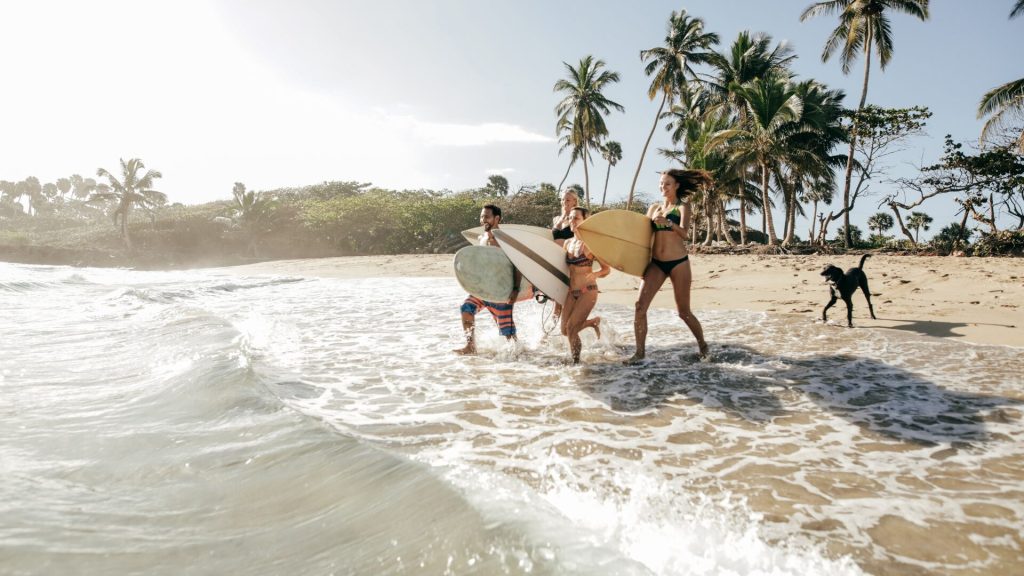 Three people carrying surfboards walk along a sandy beach with palm trees in the background. A dog runs nearby. Waves gently touch the shore.