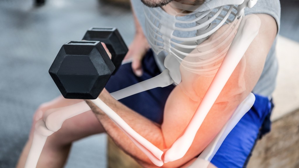 rendering of a person working out their arms with their skeleton showing what you're working out