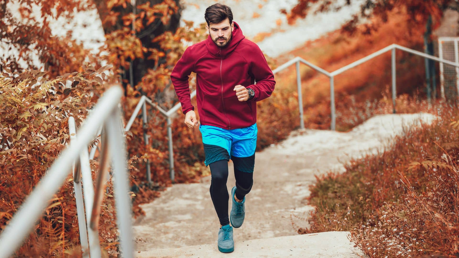 Essential Nutrients for Men: Must-Haves for Optimal Health