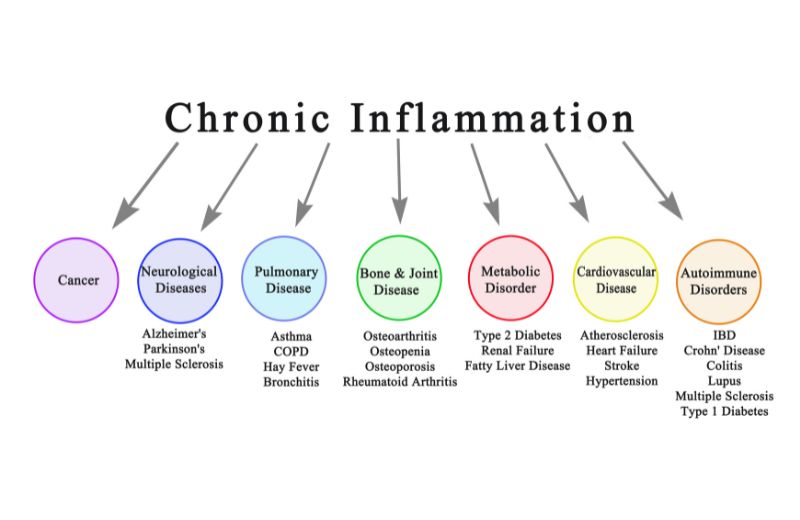 Graphic depicting the many forms the chronic inflammation can take.