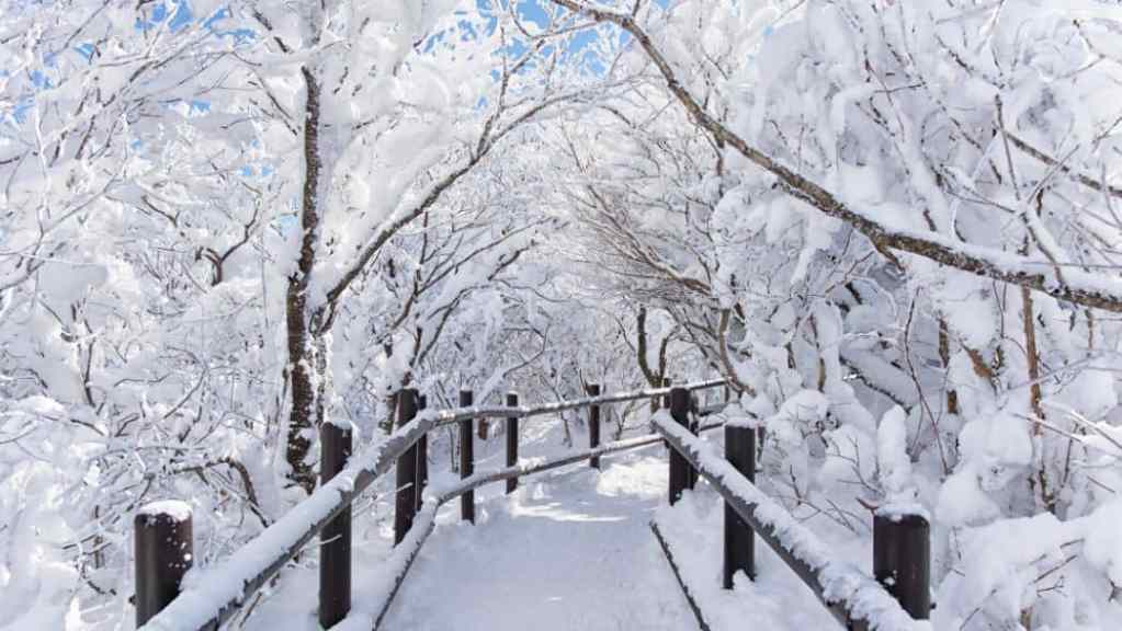 A snow-covered wooden bridge amidst a winter landscape with trees blanketed in snow.