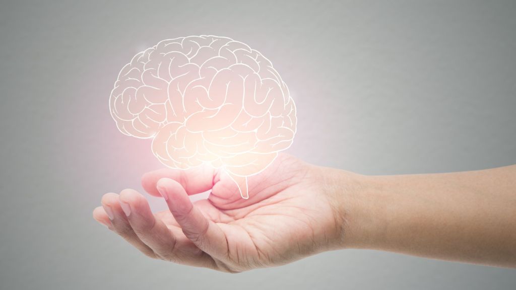 rendering of a well-lit brain in someones hand