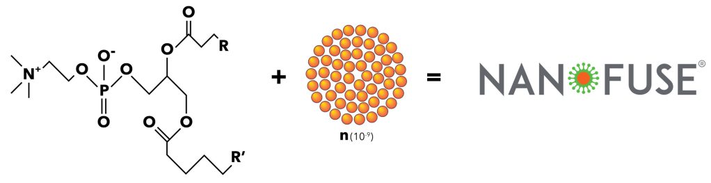 Equation with a chemical structure and a small orange dots symbolizing nanoparticles adding up to equal NANOFUSE