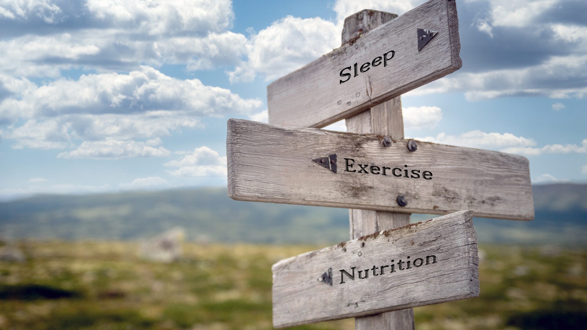 Essential Vitamins for Adults: Key Nutrients Many May Be Missing