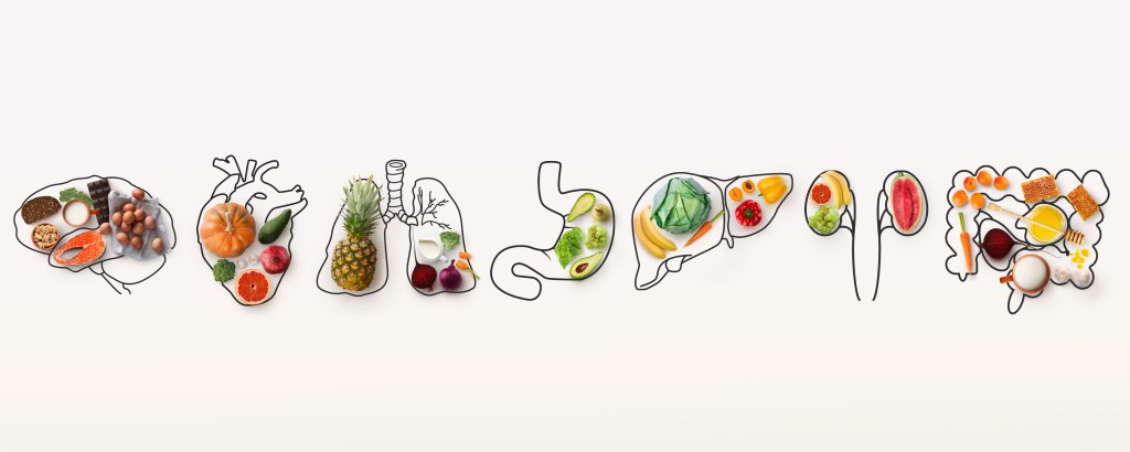 image showing best foods for each body organ