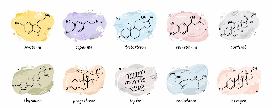 Illustration of various hormone and neurotransmitter molecules, including serotonin, dopamine, and cortisol, with colorful, distinct backgrounds.