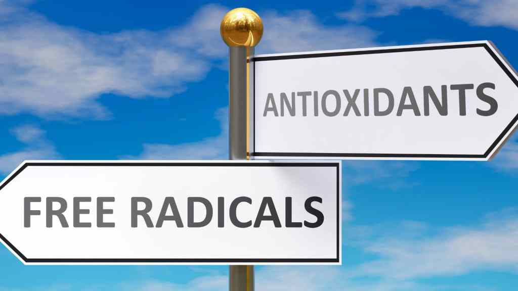 Signpost in a clear sky showing two directions: one labeled "ANTIOXIDANTS" and the other "FREE RADICALS.