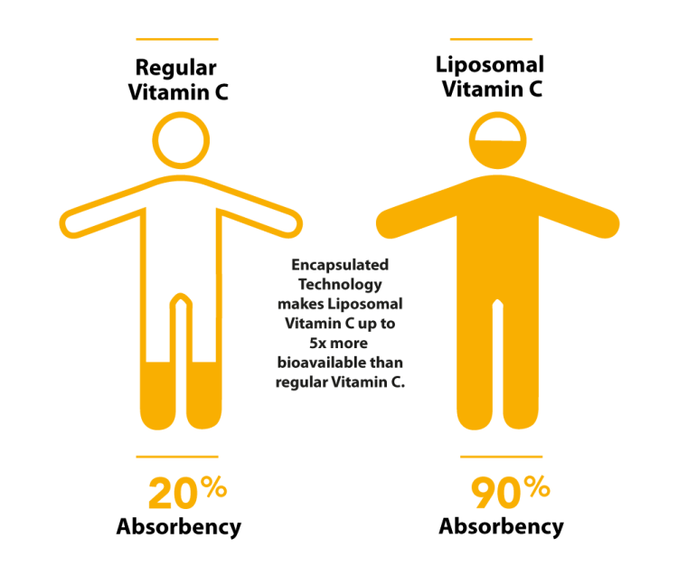 Comparison of regular vitamin c absorption at 20% and liposomal vitamin c absorption at 90% with enhanced bioavailability.